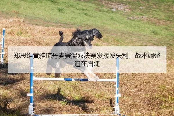 郑思维黄雅琼丹麦赛混双决赛发接发失利，战术调整迫在眉睫